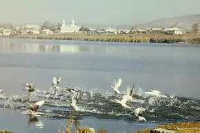 Vederea a satului, anii '70.