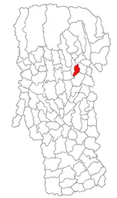 Amplasarea în cadrul județului