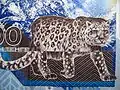 Leopardul zăpezilor pe bancnota Kazahstană de 10&nbsp;000 tenge