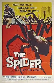 un afiș al filmului