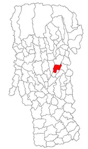 Amplasarea în cadrul județului