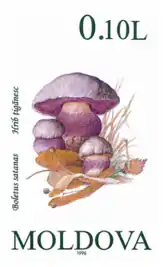 B. satanas, R. Moldova 1990