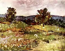 Priveliște din Moinești