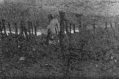 Peisaj de toamnă[ Ștefan Luchian ]