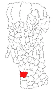 Amplasarea în cadrul județului