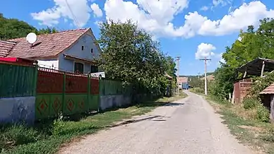 Strada Principala, Chesler