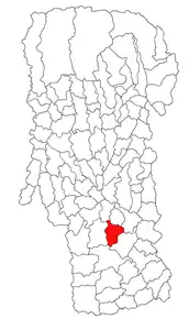 Amplasarea în cadrul județului