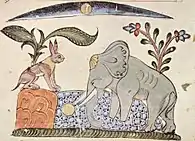 Ilustrație cu iepure și elefant din Panchatantra, 1354