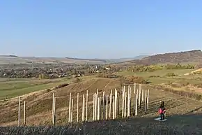 Priveliștea asupra satului