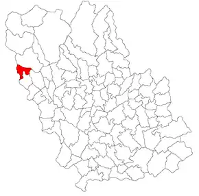 Amplasarea în cadrul județului