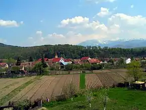 Vedere a orașului Tălmaciu