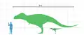 Un Tarbosaurus adult și un pui (2 ani), cu un om pentru comparaţie.