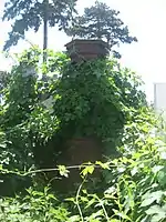 Mormântul logofătului George Cantacuzino (monument istoric)