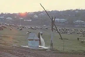 Satul Obreja Veche în 1980