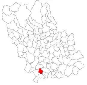 Amplasarea în cadrul județului