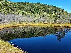 Imagine din rezervație