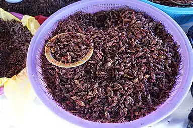 Greieri gătiți de mâncat, Piața Tlacolula, Mexic