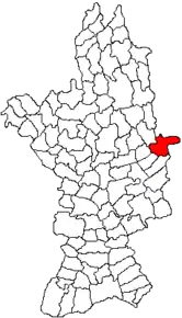 Amplasarea în cadrul județului