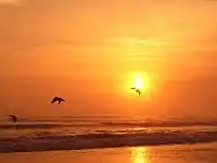 Malul Oceanului Pacific văzut din provincia Camaná