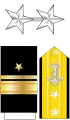 Rear Admiral (Upper Half), Contraamiral