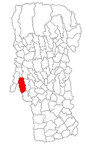 Amplasarea în cadrul județului