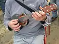 Ukelele electroacustice