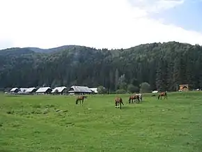 Imagine indisponibilă