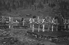 Mormintele la final, cu cruci predominant făcute din trunchiuri de mesteacăn