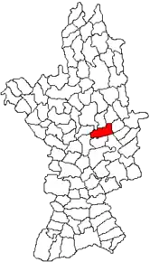 Amplasarea în cadrul județului