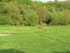 Meandrele pârâului pe platoul de sub Vârful Surului.