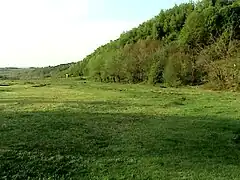 Liziera Pădurii la marginea platoului.