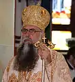 Varsanufie GogescuArhiepiscop al Râmnicului
