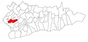 Amplasarea în cadrul județului