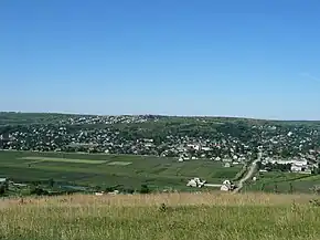 Vedere panoramică