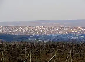 Vedere panoramică dinspre sud.