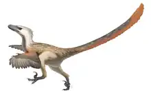 Un Velociraptor lung până la 2 m a cutreierat Cretacicul târziu.