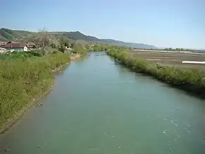 Râul Arieș la Viișoara