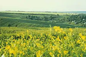 Panoramă parțială a localității, 1980.