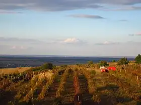 Podgorii în preajma satului.