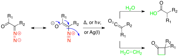 Transpoziția Wolff.