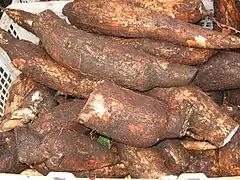 Rădăcini de manioc
