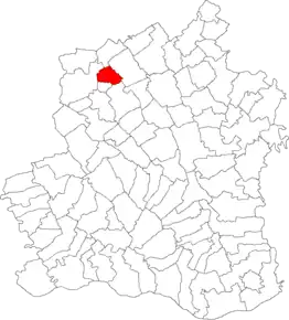 Amplasarea în cadrul județului