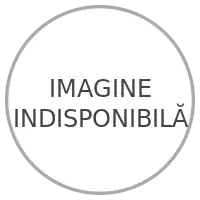 Casa Vizantea-Livezi