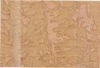 Imagine indisponibilă