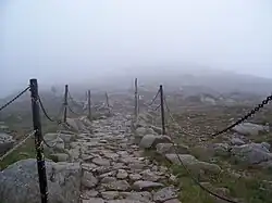 Secțiune a Traseului Prieteniei Ceho-Polone, 2008