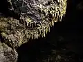 Stalactite argiloase