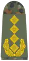 Germania:General