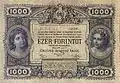 1.000 florini tip 1880 (revers)