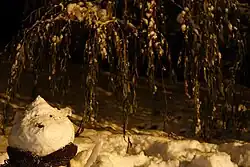 Om de zăpadă cu fular, în proces de topire