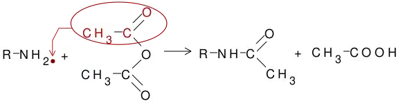 Acilarea cu anhidrida acetică